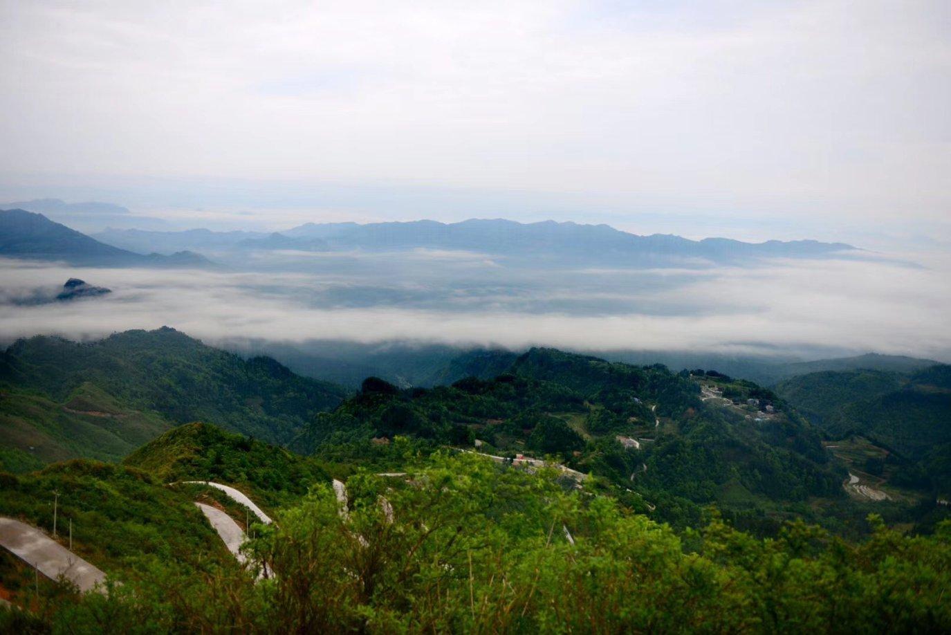 “税力量”护航,重大项目建设冲刺开门红