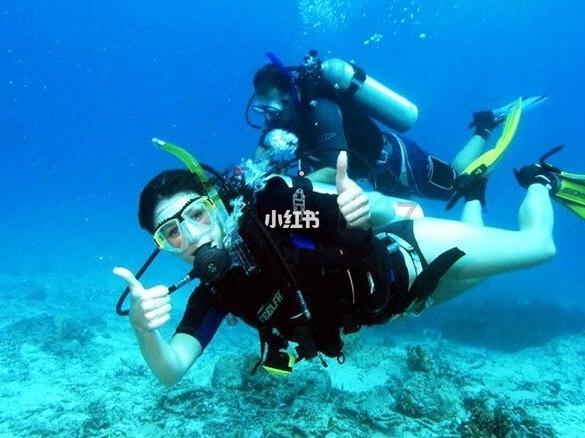 拯救可爱小浣熊