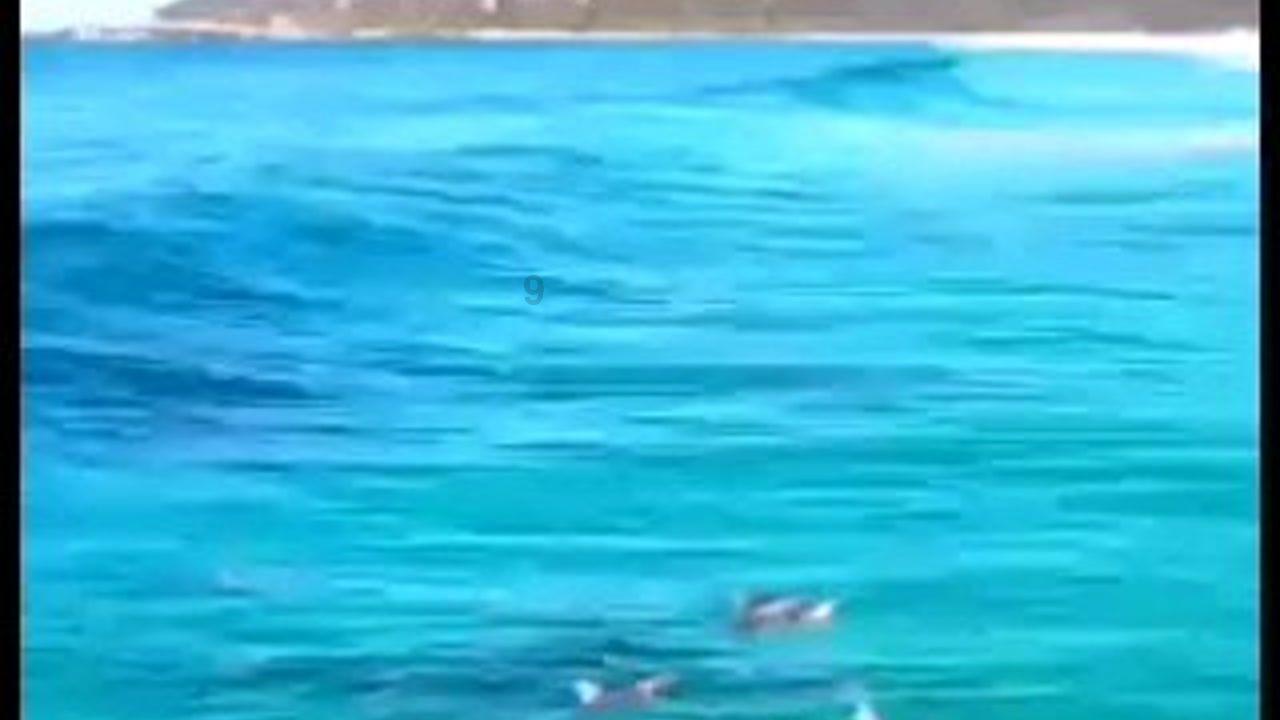 数字合算