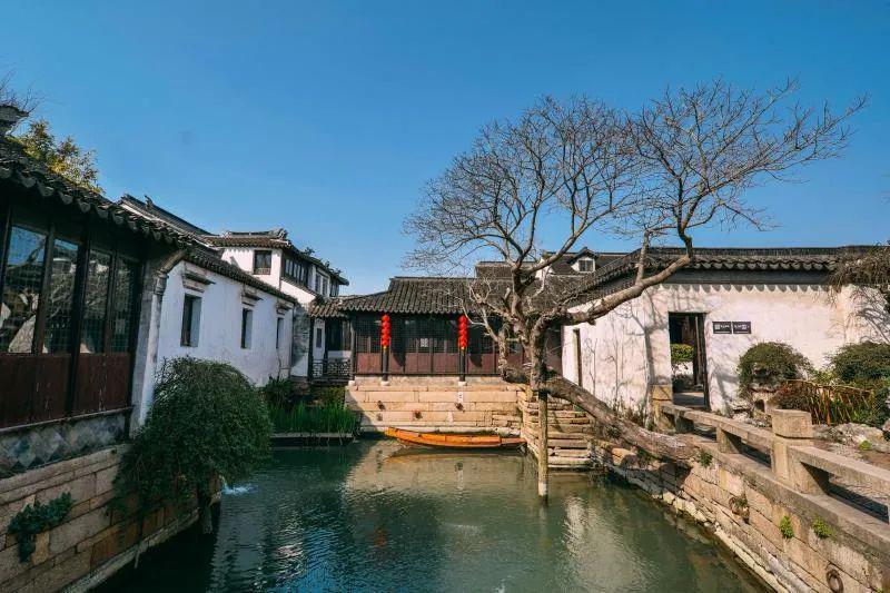 400多亩沃柑喜迎丰收